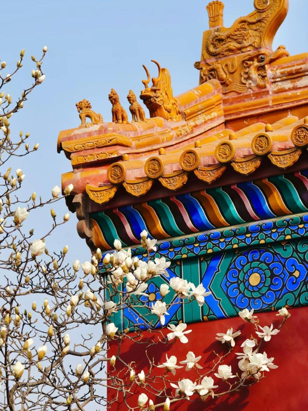 Happy Dragon Courtyard- Newly Renovated With French Windows, Near Tian'Anmen Forbidden City,Lama Temple And Heaven Temple, 3Minutes Walk From Subway,Fluent English Speaking With Tourist Sights Tickets Service ,Free Coffee &Laundry Service Pékin  Extérieur photo